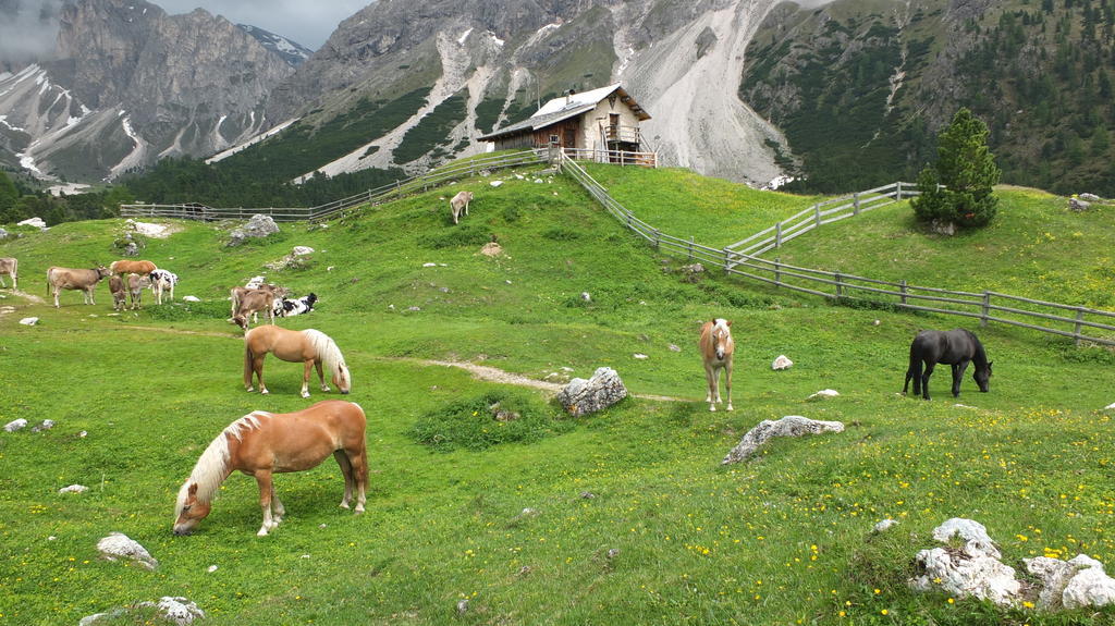 Garni Le Chalet Santa Cristina Val Gardena المظهر الخارجي الصورة