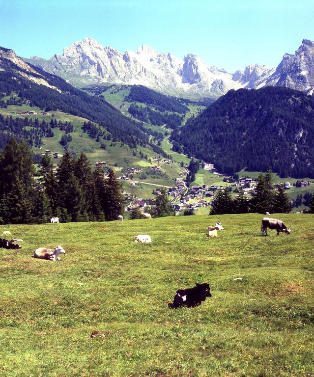 Garni Le Chalet Santa Cristina Val Gardena المظهر الخارجي الصورة