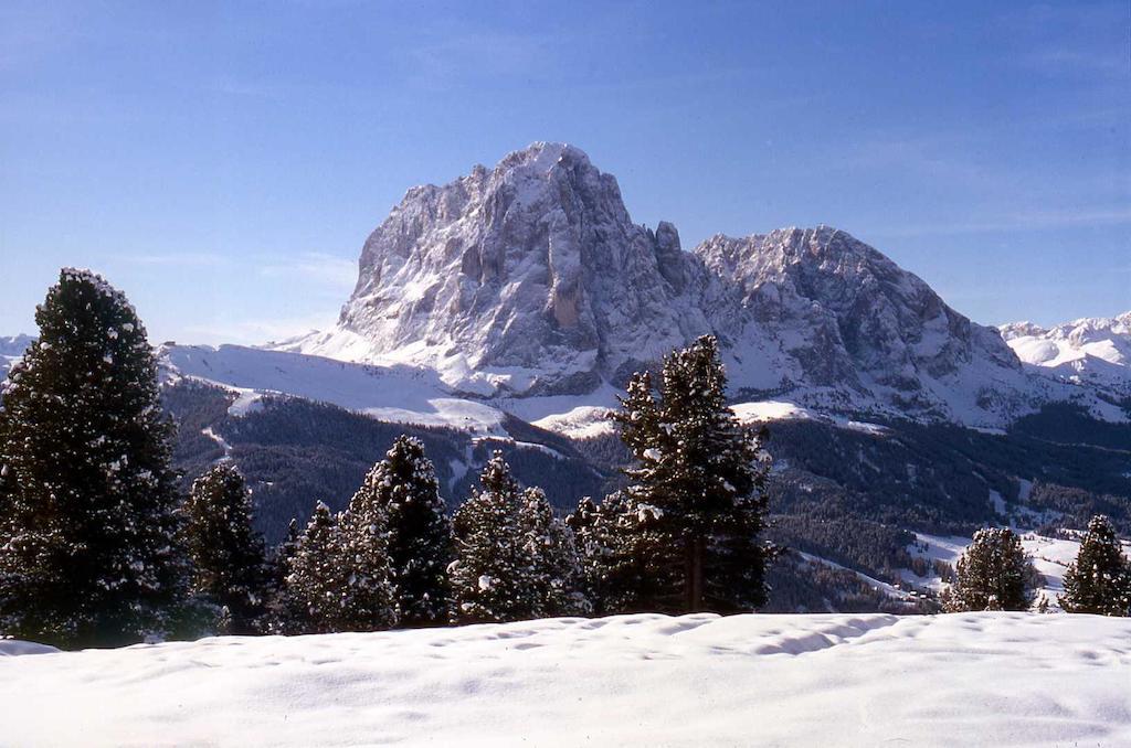 Garni Le Chalet Santa Cristina Val Gardena المظهر الخارجي الصورة