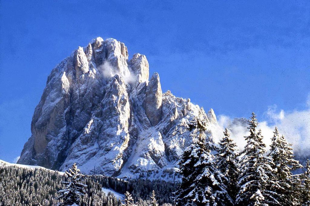 Garni Le Chalet Santa Cristina Val Gardena المظهر الخارجي الصورة