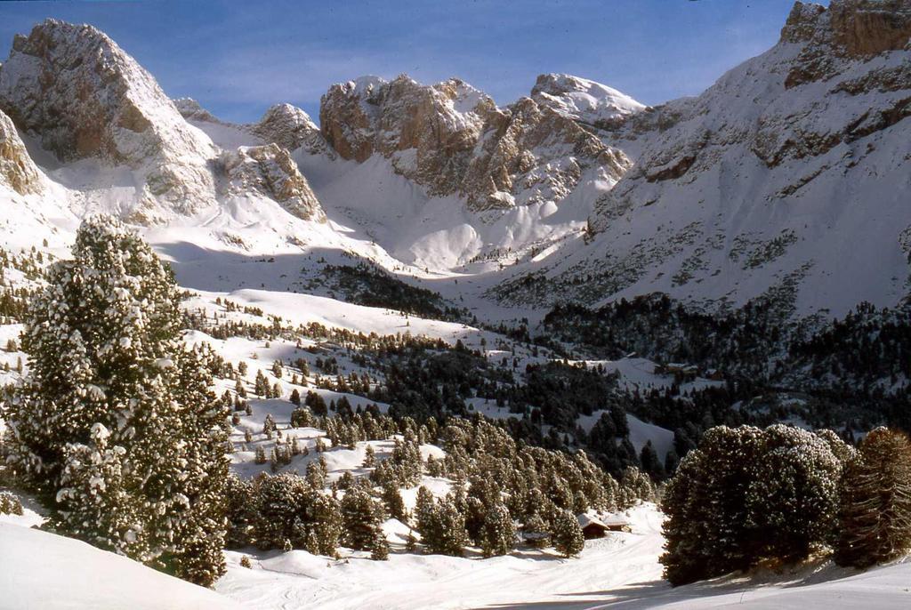 Garni Le Chalet Santa Cristina Val Gardena المظهر الخارجي الصورة