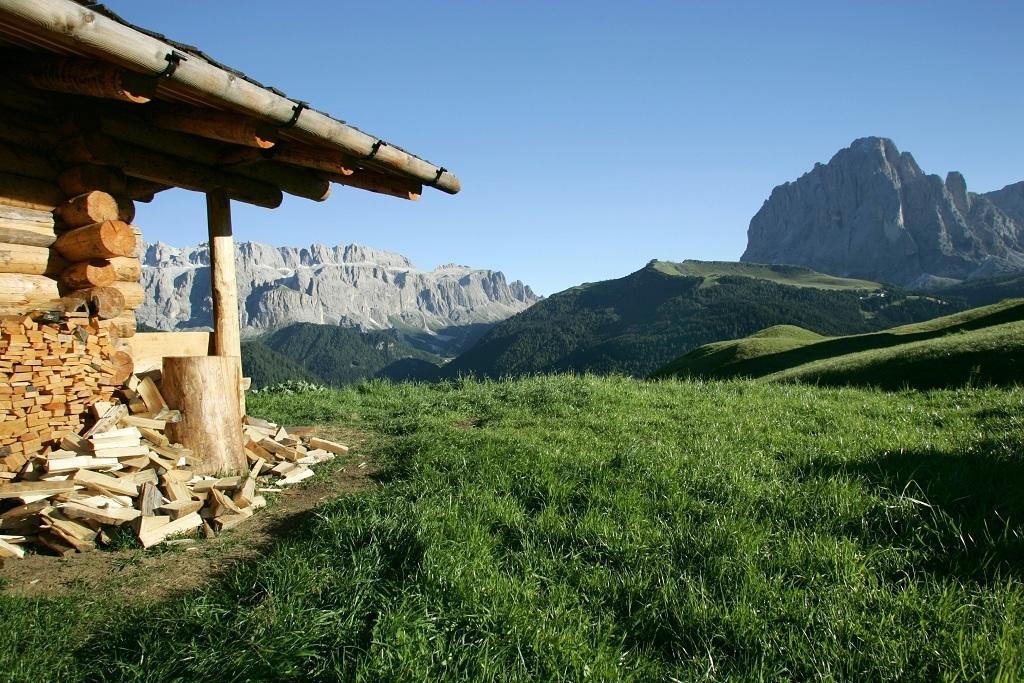 Garni Le Chalet Santa Cristina Val Gardena المظهر الخارجي الصورة